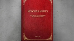 Vzácné ptáky eurasia