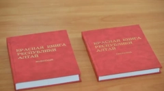Vzácná zvířata eurasia