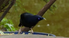 Satén ve tvaru písku