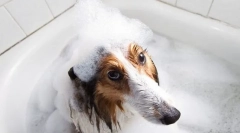 Šampony a klimatizace