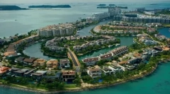 Singapur: funkce plemene a pravidla obsahu