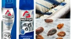 Sprej a aerosoly z bedbugs