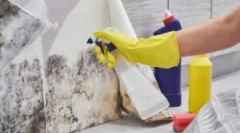 Nástroje pro odstraňování forem (plíseň formy)