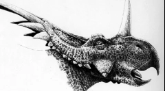 Straakosaurus