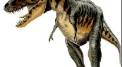 Tarotický