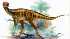 Tsesonozavr