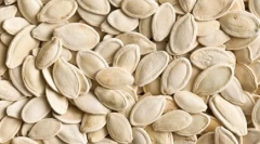 Top 10 zvířat, která se bojí ženy