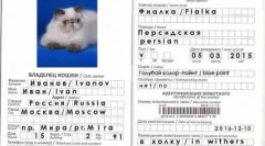 Veterinární pas pro kočku: design design nuance