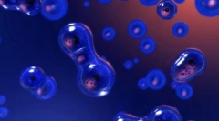 Reprodukce organismů