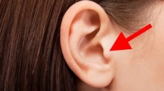 Proč kočky kapsy na uších