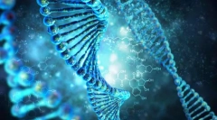 Zákony dědičnosti